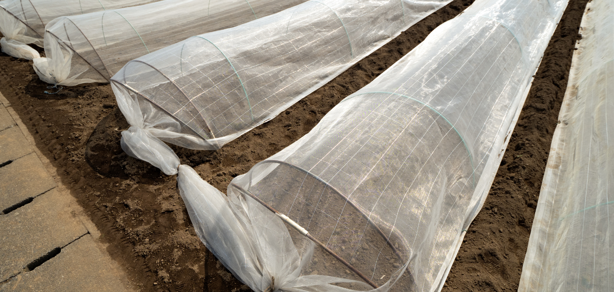 Filets de serre anti insecte