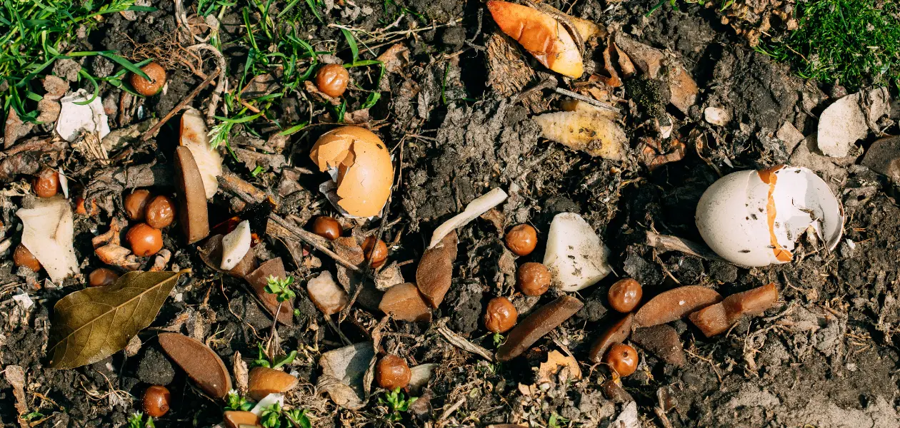 compost bio