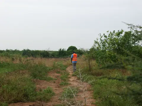 Traversée de la parcelle avant les travaux