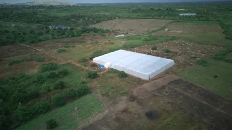 Vue rapprochée de la serre et des parcelles voisines