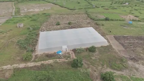 La serre vue du sud, bordée par le verger