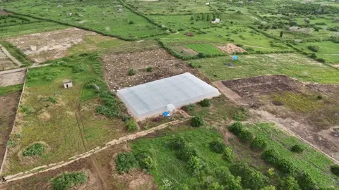 La serre au milieu des parcelles cultivées