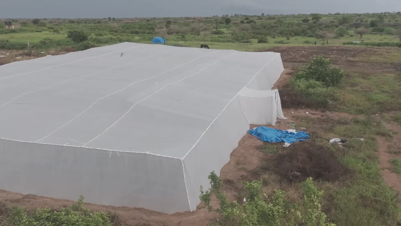 Gable greenhouse