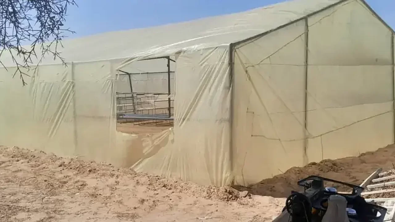 Drying greenhouse