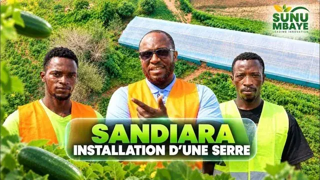 SANDIARA : comment s’est passée l’installation expérimentée d’une serre de Sunumbaye ! (Incroyable)