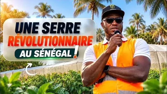 CASAMANCE : comment une serre agricole transforme un village et ses braves femmes !