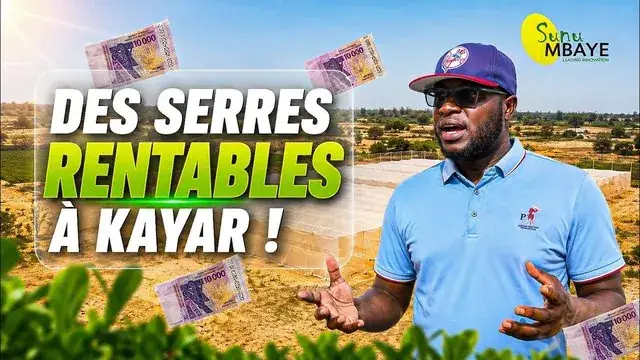 À quoi ressemblent des serres ultra rentables à Kayar ?!