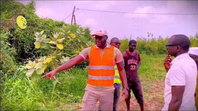 « Ce qui s’est passé à Thiès pour le montage de serre agricole avec Sunumbaye va vous surprendre ! »