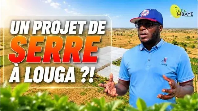 À quoi ressemble un incroyable projet de serre agricole à Louga ?
